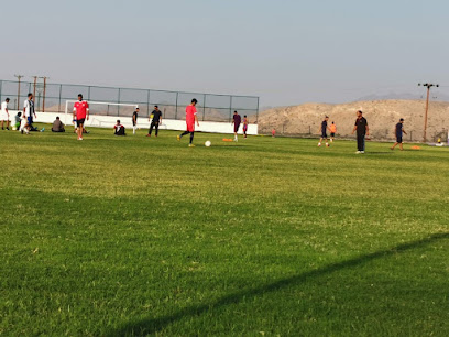 ملعب فريق الحصن الرياضي والثقافي - في الطبقة -