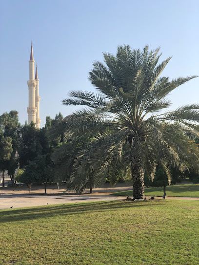 منتزه عام - Oman|Muscat|شارع المها، مسقط،|HCPJ+477