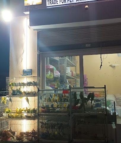 عالم الطيور - السيب -