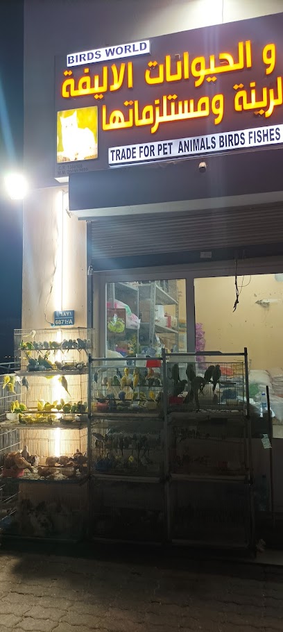 عالم الطيور - Oman|Seeb|J4QJ+XQ، السيب‎،،،|J4QM+G52