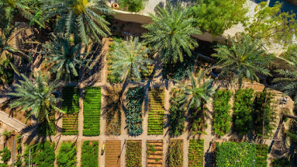 المزرعة وادي العرش ، السيب - السيب -