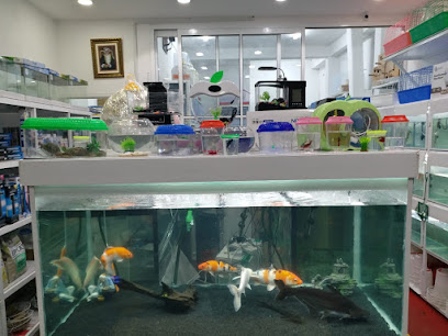 متجر الحيوانات الأليفة - بركاء - +968 9895 8596