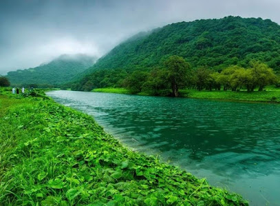 مخزن صلالة البارد - صلالة - +968 23 297084