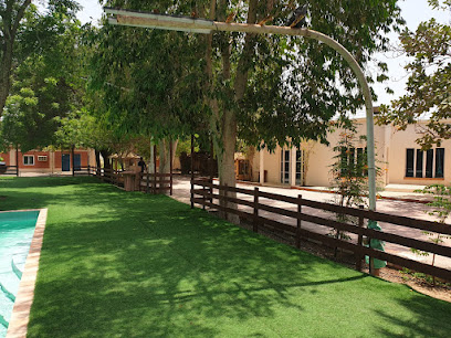 مزرعة محمد بن عبدالكريم الزدجالي - الصبيخي - السويق - +968 9280 0900