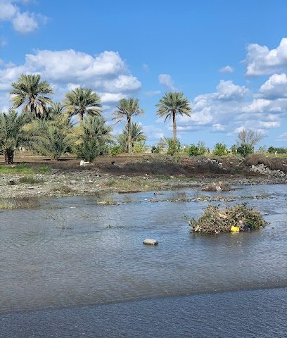 جسر ونفق النامي - شناص -