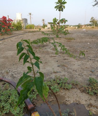 جنة الاسرار - Dawanji -