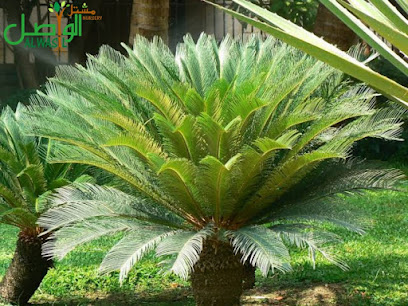 مشتل الواصل - شارع 23 بدية OM - +968 9623 5919