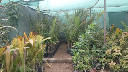 حدائق بابل الوطنية - السيب -