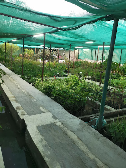 360 جرين فارم - Oman|Al Amarat