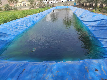 مشاتل إبن صالح مزرعة أولاد الوكيل - سمائل - +968 9243 3336