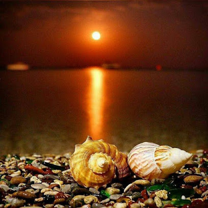 مطبخ البستان للولائم والمناسبات - الخابورة - +968 9923 2433