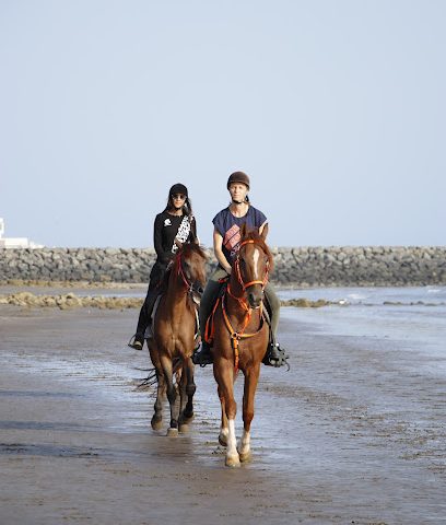 مركز قصر الخيل للفروسية مركز قصر الخيل للفروسية - السيب - +968 7159 3330