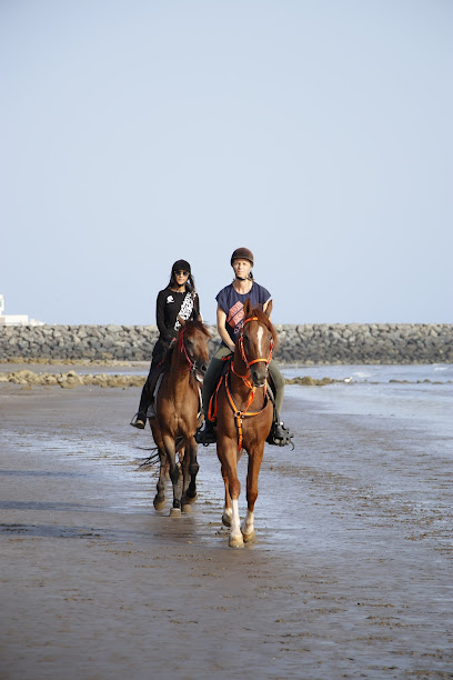 مركز قصر الخيل للفروسية مركز قصر الخيل للفروسية - Oman|Seeb|7HMWM5CW+X8،|M5CW+Q8X
