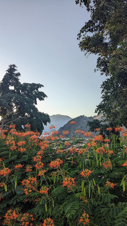 نادي مدحاء الرياضي - Oman|Madha|78JR+VRM