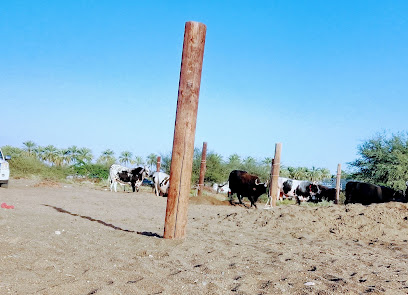 حائط لصويحره - ولاية صحار ، -