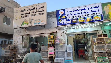 متجر رمضان والحيوانات الأليفة وأسماك الزينة - صلالة - +968 9202 1142