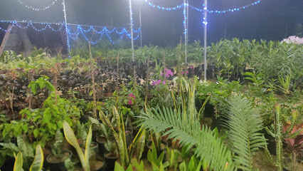 طريق الحصيله - صلالة - +968 9928 2663