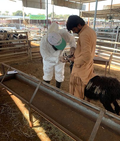 العيادة البيطرية بولاية صحار - صحار - +968 22 353094