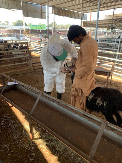 العيادة البيطرية بولاية صحار - Oman|Sohar|طريق الوادي، ولاية صُحار،|8PRF+JRM