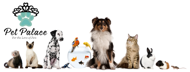 قصر الحيوانات الأليفة - مدينة سندان الصناعية مدينة سندان Halban OM - +968 9123 2093