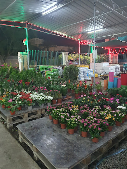 حضانة القديمة مشتل القديمة - السيب - Oman|Seeb|M57W+9M4