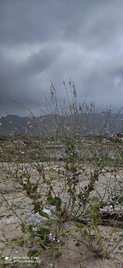 بحيرة العامرات - Oman|Al Amarat|Unnamed Road|GFHH+R9F