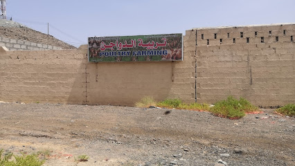 مزرعة دواجن - إبرا - +968 9556 6176