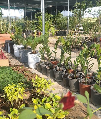 مشتل زوايا الهلال للتجارة - صحم - +968 9700 0783