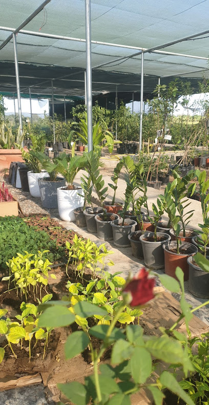 مشتل زوايا الهلال للتجارة - Oman|Saham|4RRV+6FH