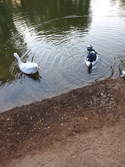 المجمع الرياضي للطالبات - Oman|Seeb|H5Q8+FR3