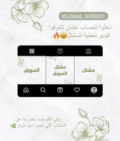 حضانة السويق - المدق -