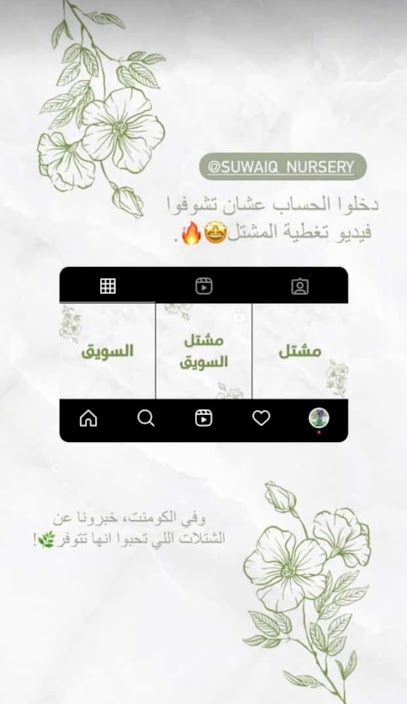 حضانة السويق - Oman|Al Mudayq|QFXR+V6W