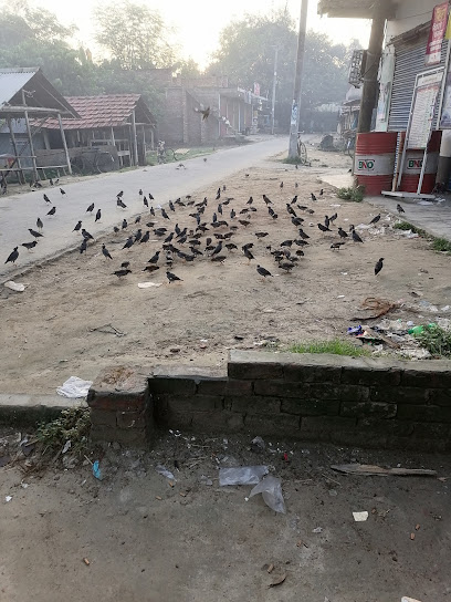 مزرعة دواجن الربيع - Oman|ولاية نزوى،|XHJ8+HR