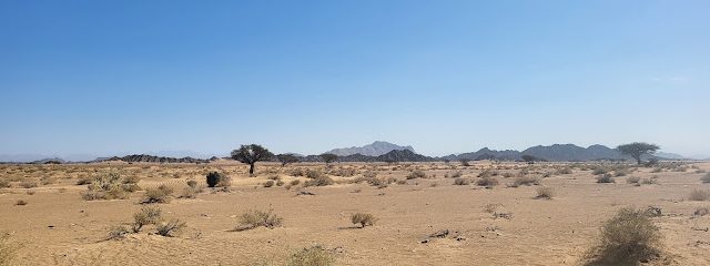 عرقوب الواديين - محضة ، -