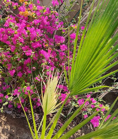 حضانة سهول الشعبية - عبري - +968 9392 5216