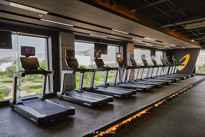 فوما جلوبال - مسقط - +968 9650 1502