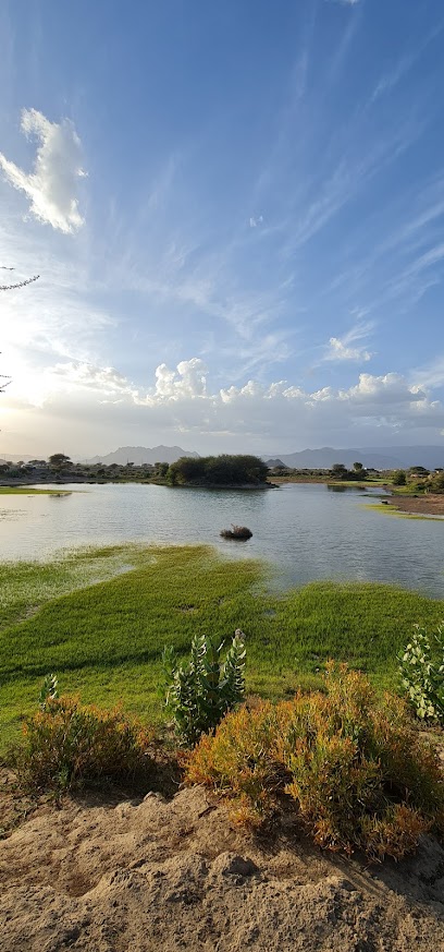 بحيرة منح العجيبة - Oman|ولاية نزوى،|RHQJ+24