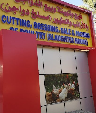 مزرعة دواجن - دجاج طازج بما في ذلك دجاج كنتري - السيب - +968 9286 5310