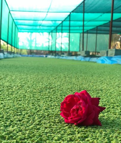 مزرعة الراك - الخابورة - +968 7158 7827