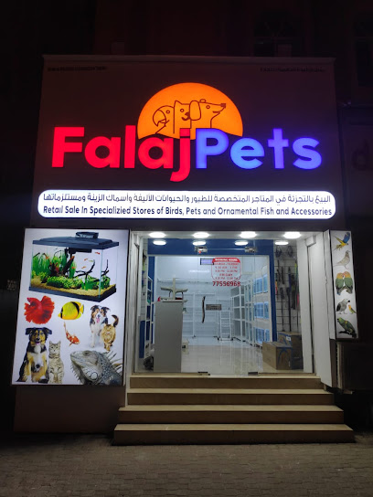 فلج الحيوانات الأليفة طيور الفلج - Oman|Sohar|8PRM+H22