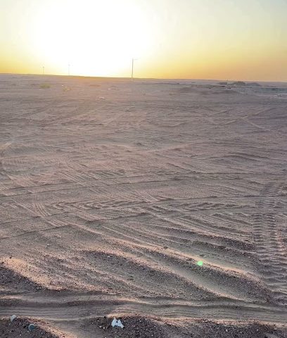 مزارع الزين ذ -  - +968 24 498312