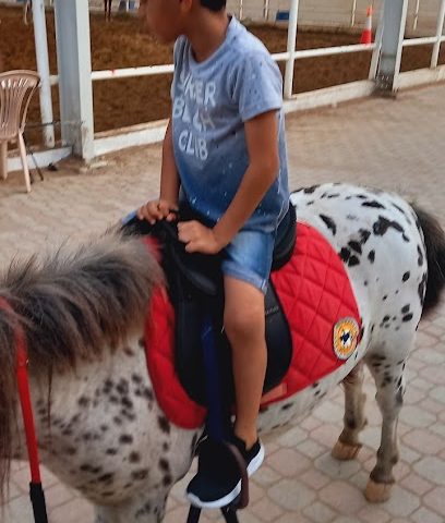 ملعب جالاكسي لكرة القدم ملعب جالاكسي - السيب - +968 9968 9001