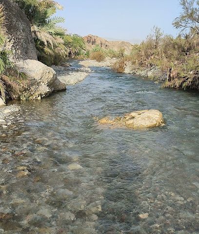 كاد - الرستاق - محافظة جنوب العبطنة - سلطنة عمان - الخصا - +968 9266 6747