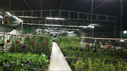 الآفاق الدوفالية مشتل (حضانة) - السيب - +968 9467 7492