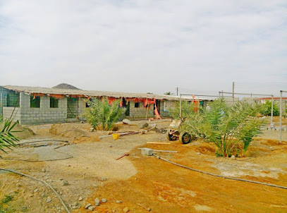 درب السلامة الوطنية للدواجن الحية - سلطنة عمان / محافظة شمال الشرقية / إبراء / مصرون - +968 9556 6176