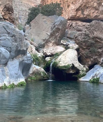 صيدلية مسقط - منفذ بيع صيدلية الحمراء - الحمرا - +968 25 422343