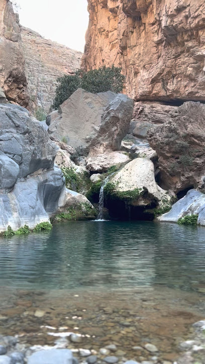 صيدلية مسقط - منفذ بيع صيدلية الحمراء - Oman|Al Hamra