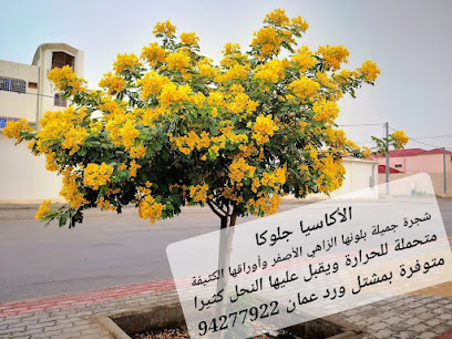 وارد عمان - باركا - +968 9707 1912