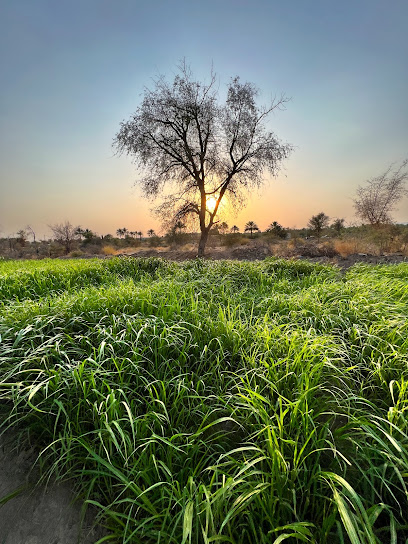 الميرة البرونزية - Oman|Ad Dreez|8J49+C9V