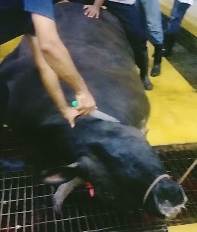 مسلخ بلدية بدبد - فانجا -